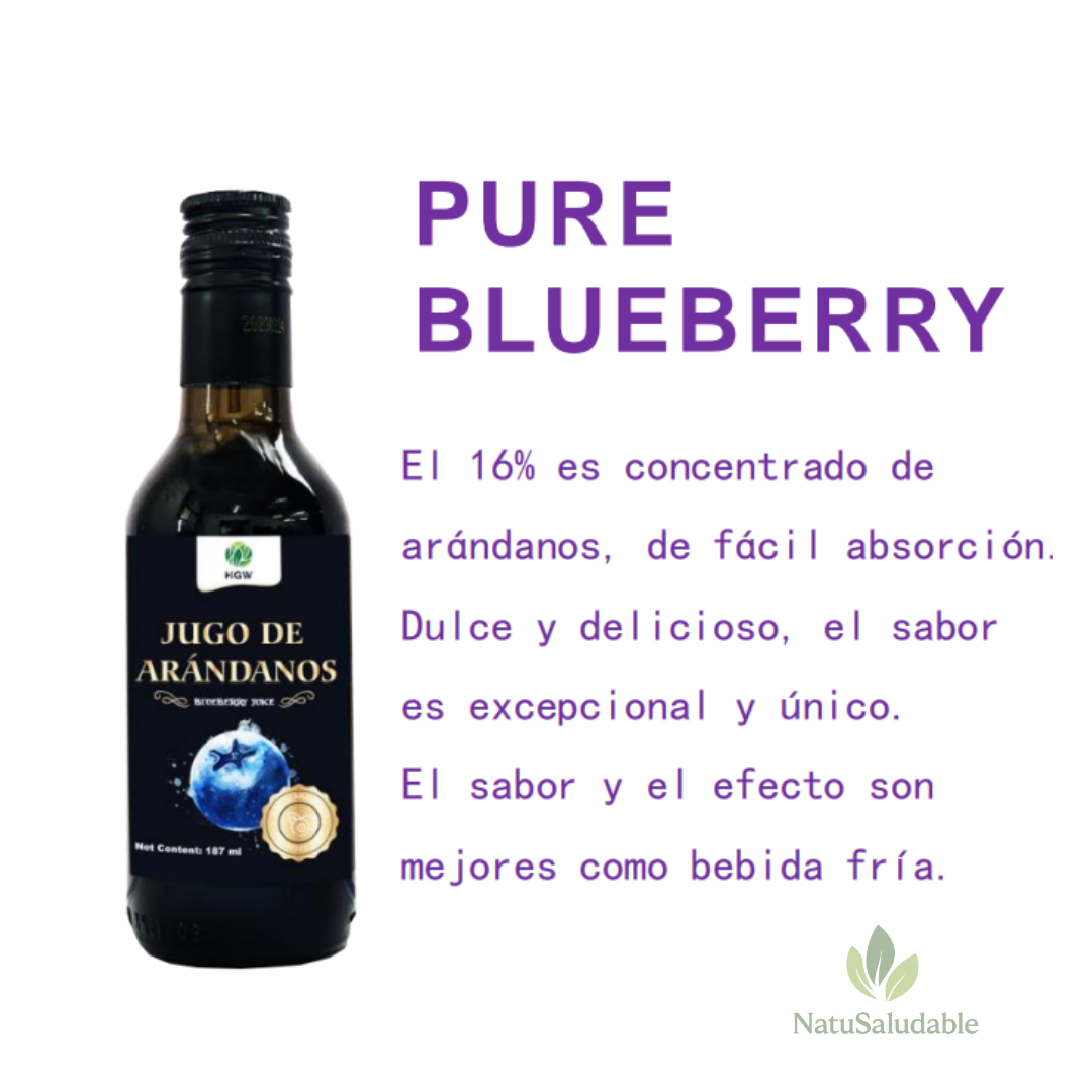 Jugo Líquido de Arándano Pure Blueberry HGW – Pack x 6