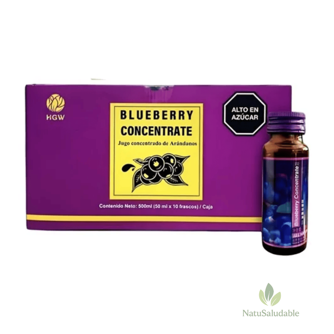 Concentrate Blueberry HGW – Concentrado Natural de Arándano