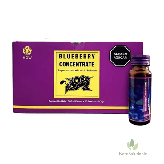Concentrate Blueberry HGW – Concentrado Natural de Arándano