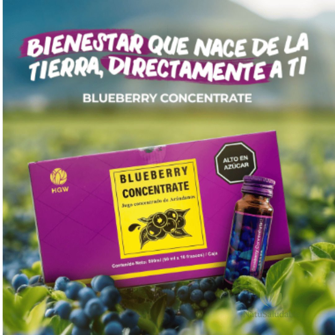 Concentrate Blueberry HGW – Concentrado Natural de Arándano