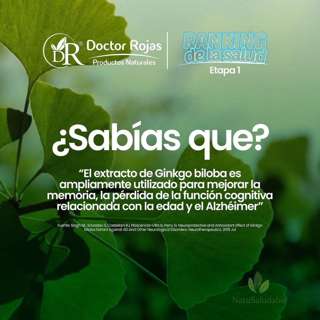Ginkgo Biloba Dr. Rojas – Circulación y Salud Vascular