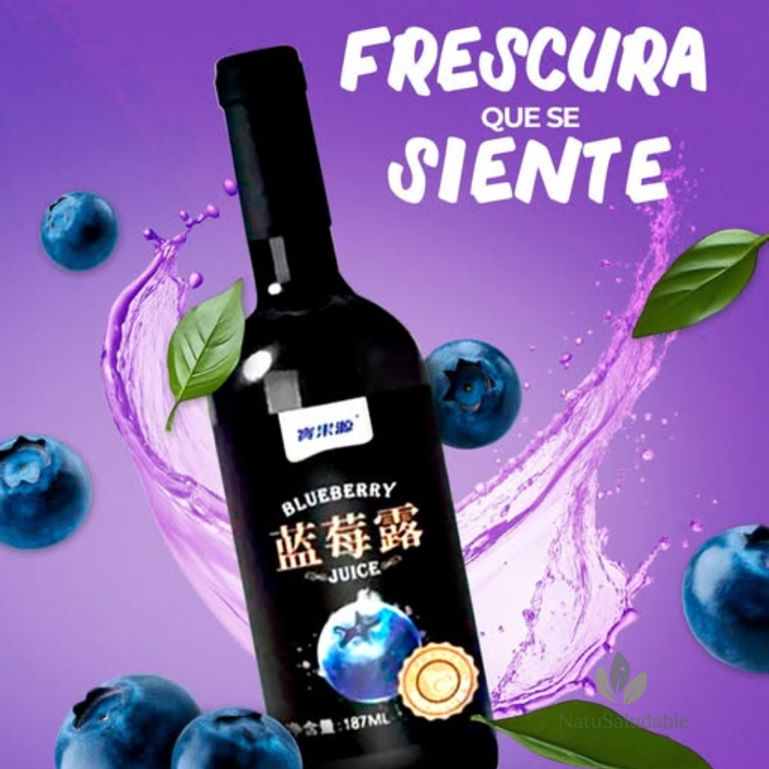 Jugo Líquido de Arándano Pure Blueberry HGW – Pack x 6