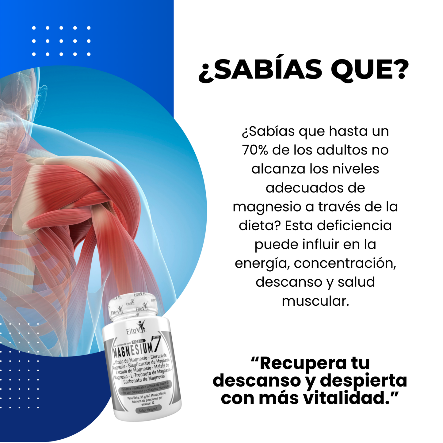 Magnesio 7 | 60 Cápsulas X2 – Recuperación